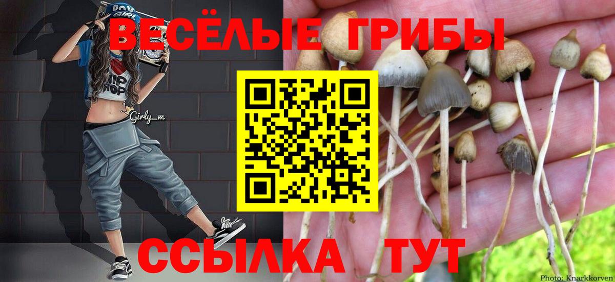 Борисоглебск  Галлюциногенные грибы Magic Shrooms  Вход с VPN  Псилоцибиновые грибы MAGIC MUSHROOMS 